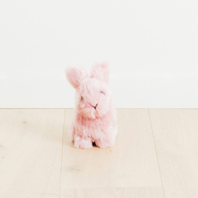 Odyssea Boutique - La Pelucherie - Lapin-02