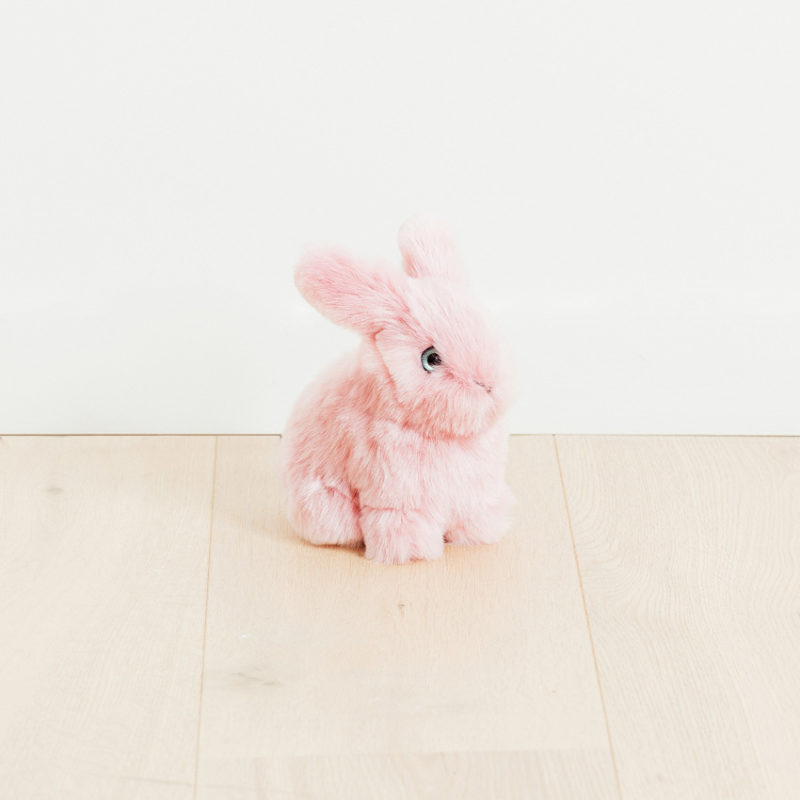 Odyssea Boutique - La Pelucherie - Lapin-03