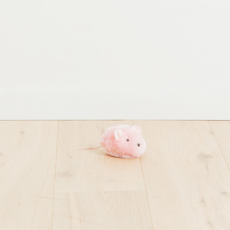 Odyssea Boutique - La Pelucherie - Souris-03